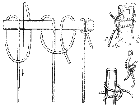 Коровий узел