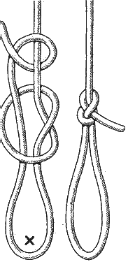 Эскимосская петля