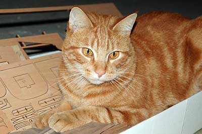 HMS Victory фирмы Mantua. Часть 2 09_01 HMS Victory фирмы Mantua. Часть 2 09_01