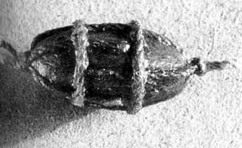 Томбуй со стропом Томбуй со стропом