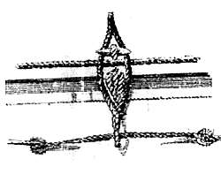 Риф-сезни Риф-сезни