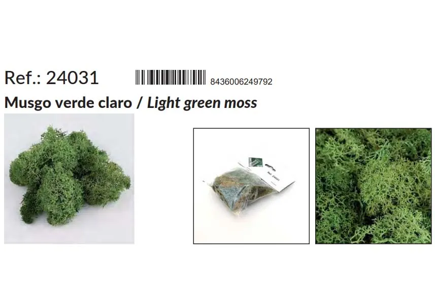 Светло-зеленый мох (25 г.)