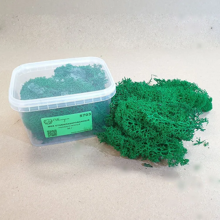 Мох стабилизированный, изумрудно-зеленый (30 г.)