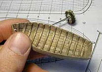 Если всё прошло удачно, вот что получаем