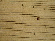 DSC07776 _1600x1200.JPG