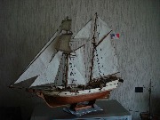 Albatros